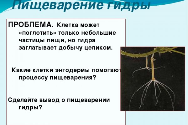 Как заказать на кракене