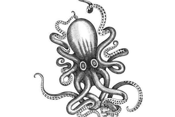 Актуальное зеркало kraken