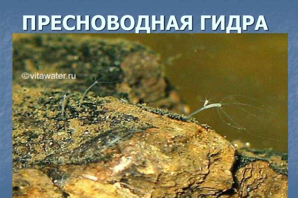 Кракен сайт зеркало рабочее