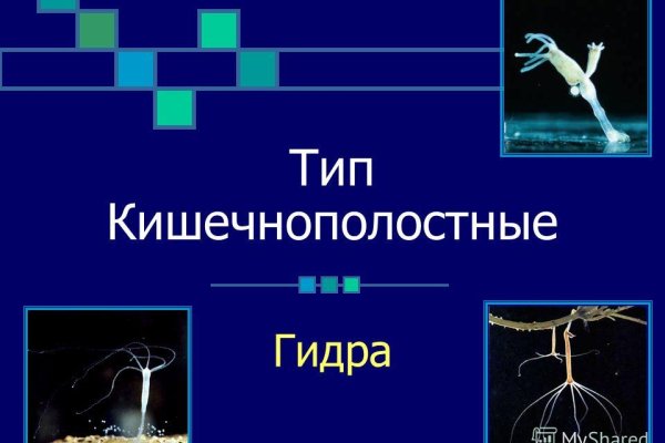 Где взять ссылку на кракен