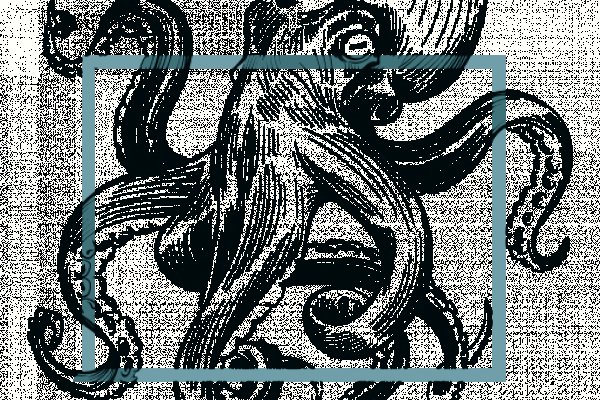 Https kraken at