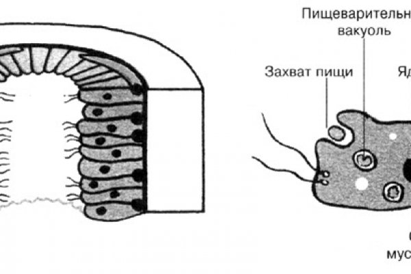 Как восстановить аккаунт на кракене