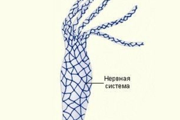 Кракен официальная ссылка vtor run