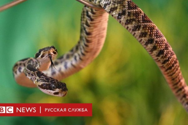 Купон кракен даркнет