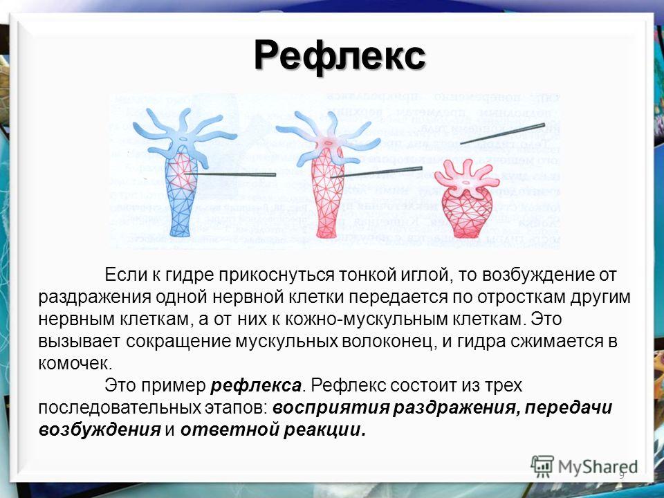 Кракен ссылка kraken