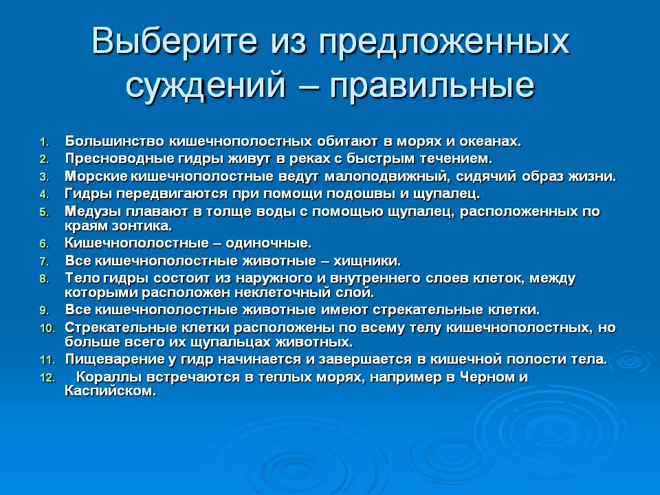 Адрес кракен в тор